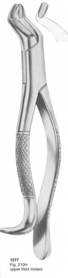  Fig. 210H upper third molars 